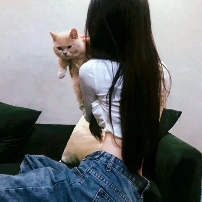 法证先锋